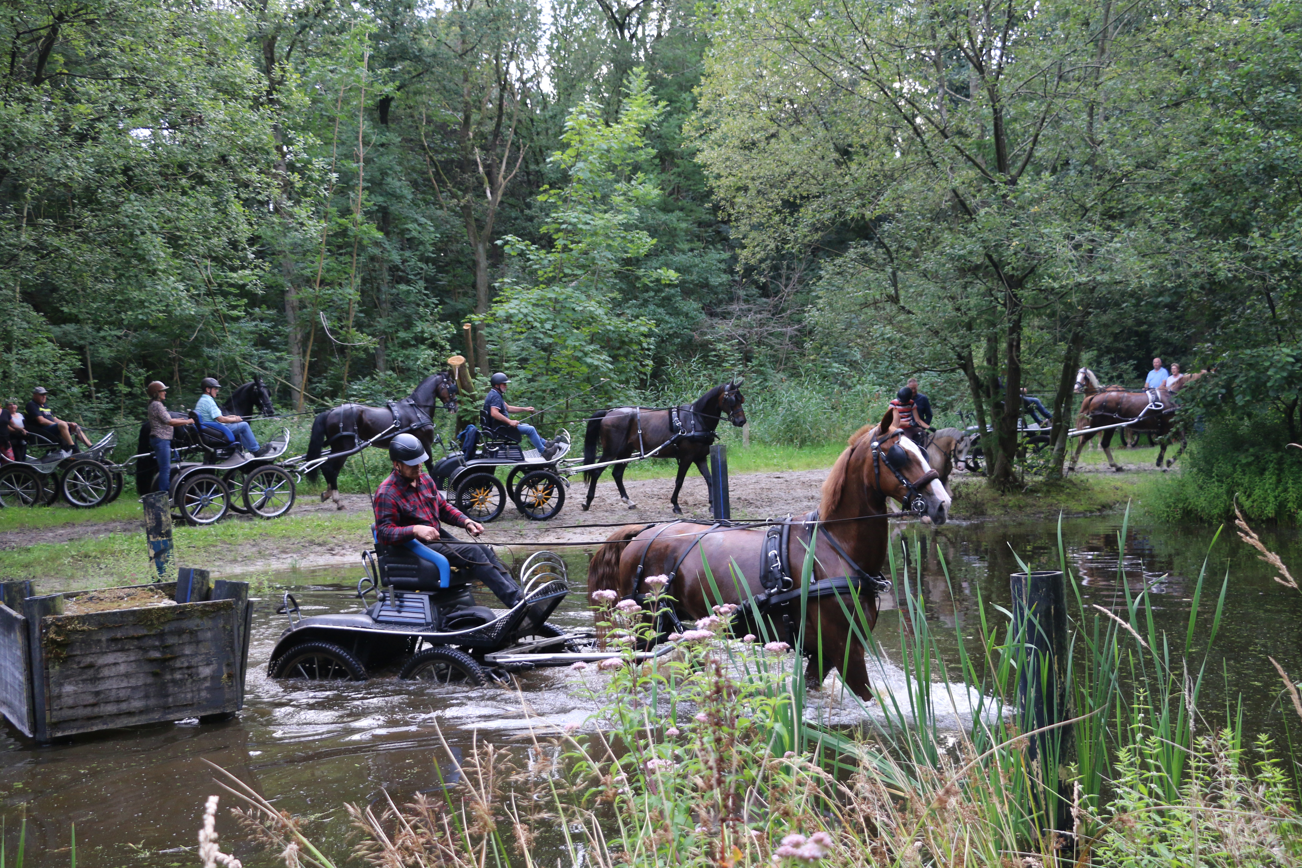 Buitenrit menners 2023