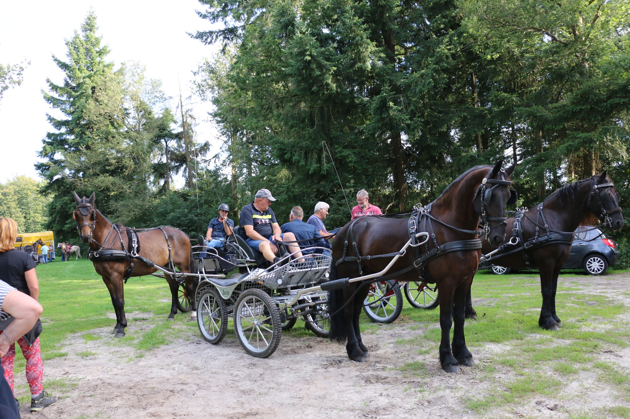 Buitenrit3.jpg