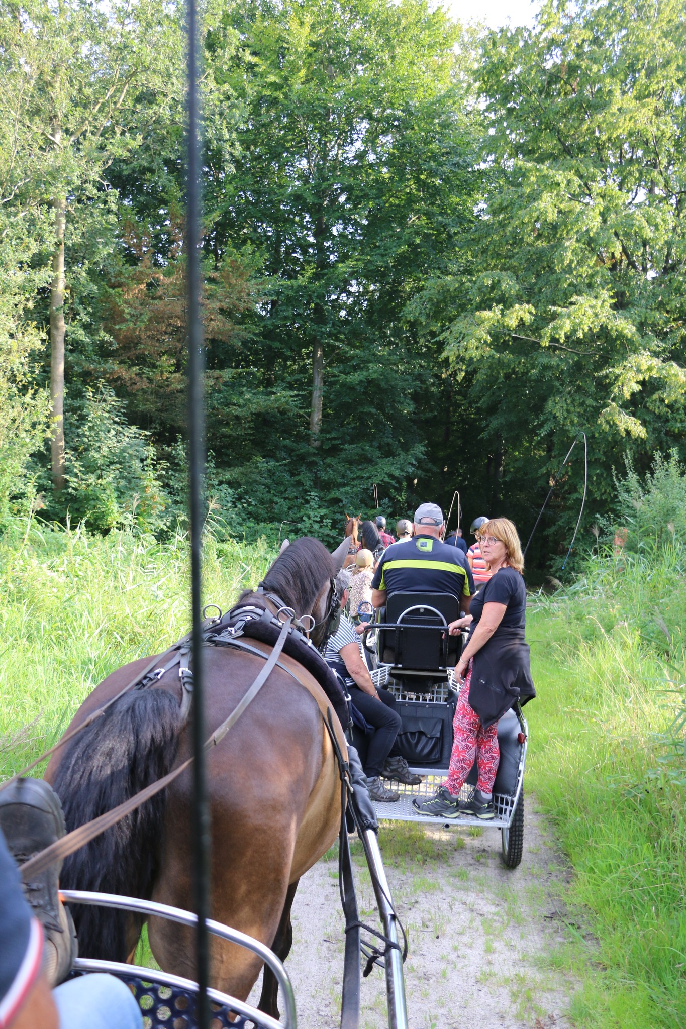 Buitenrit6.jpg