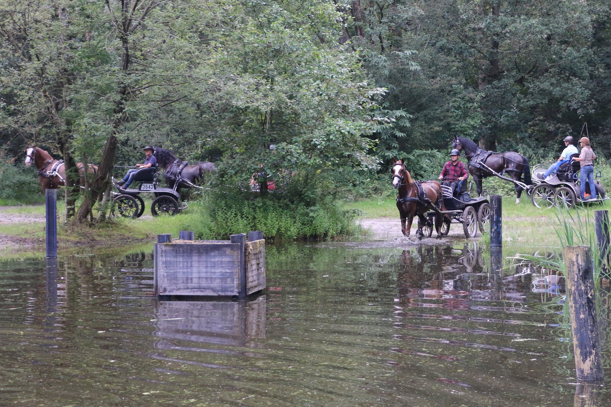 Buitenrit7.jpg