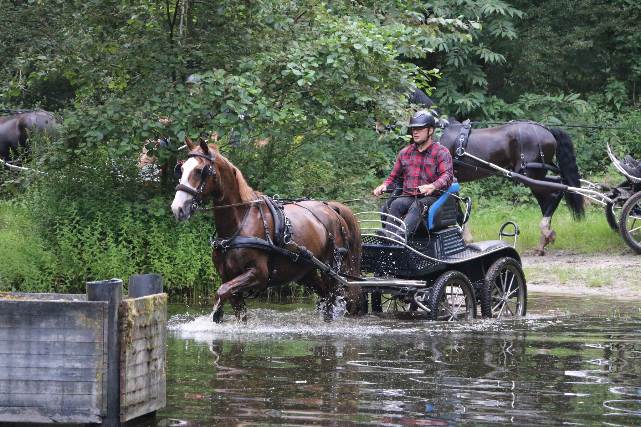 Buitenrit8.jpg