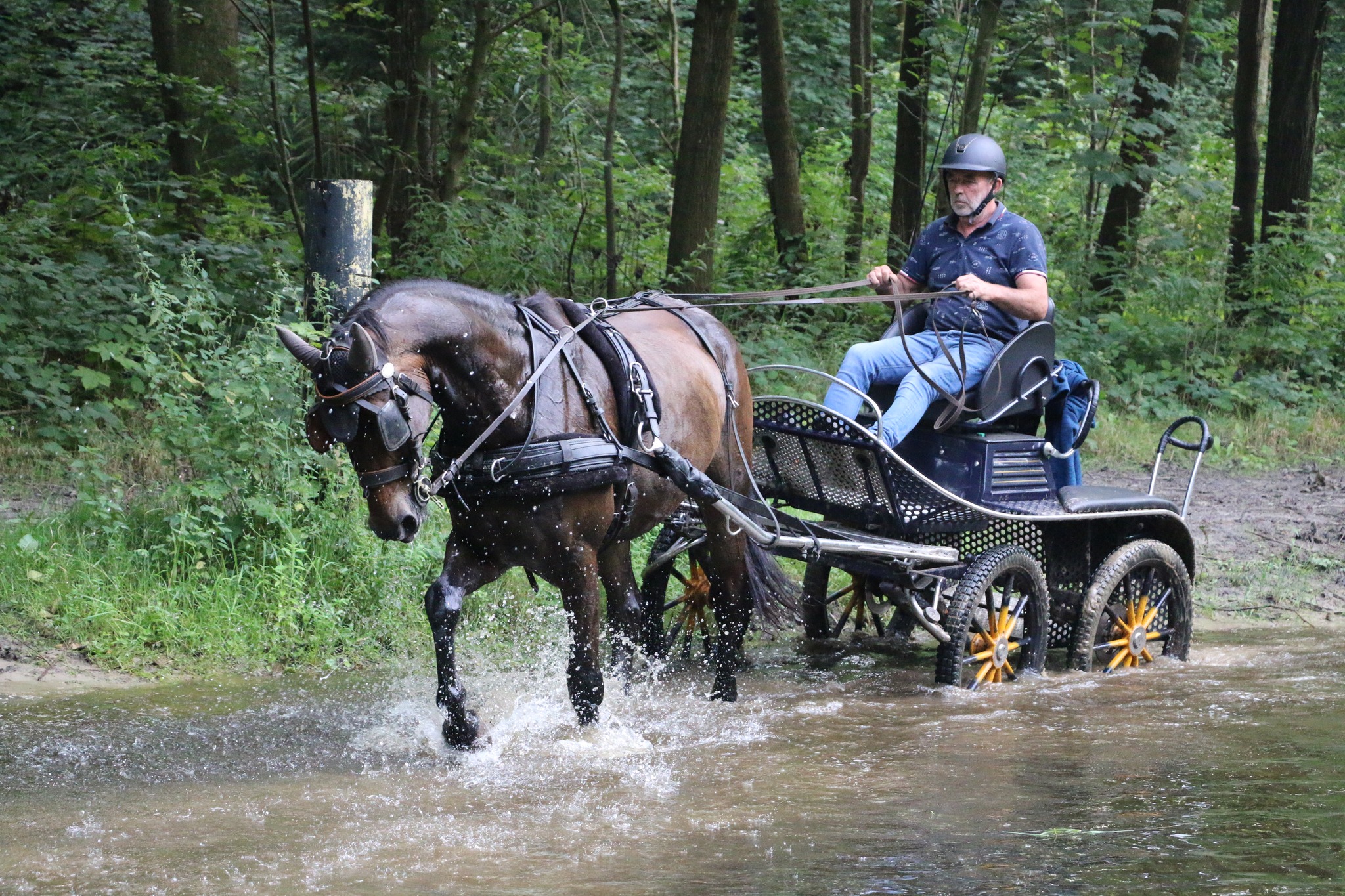 Buitenrit9.jpg