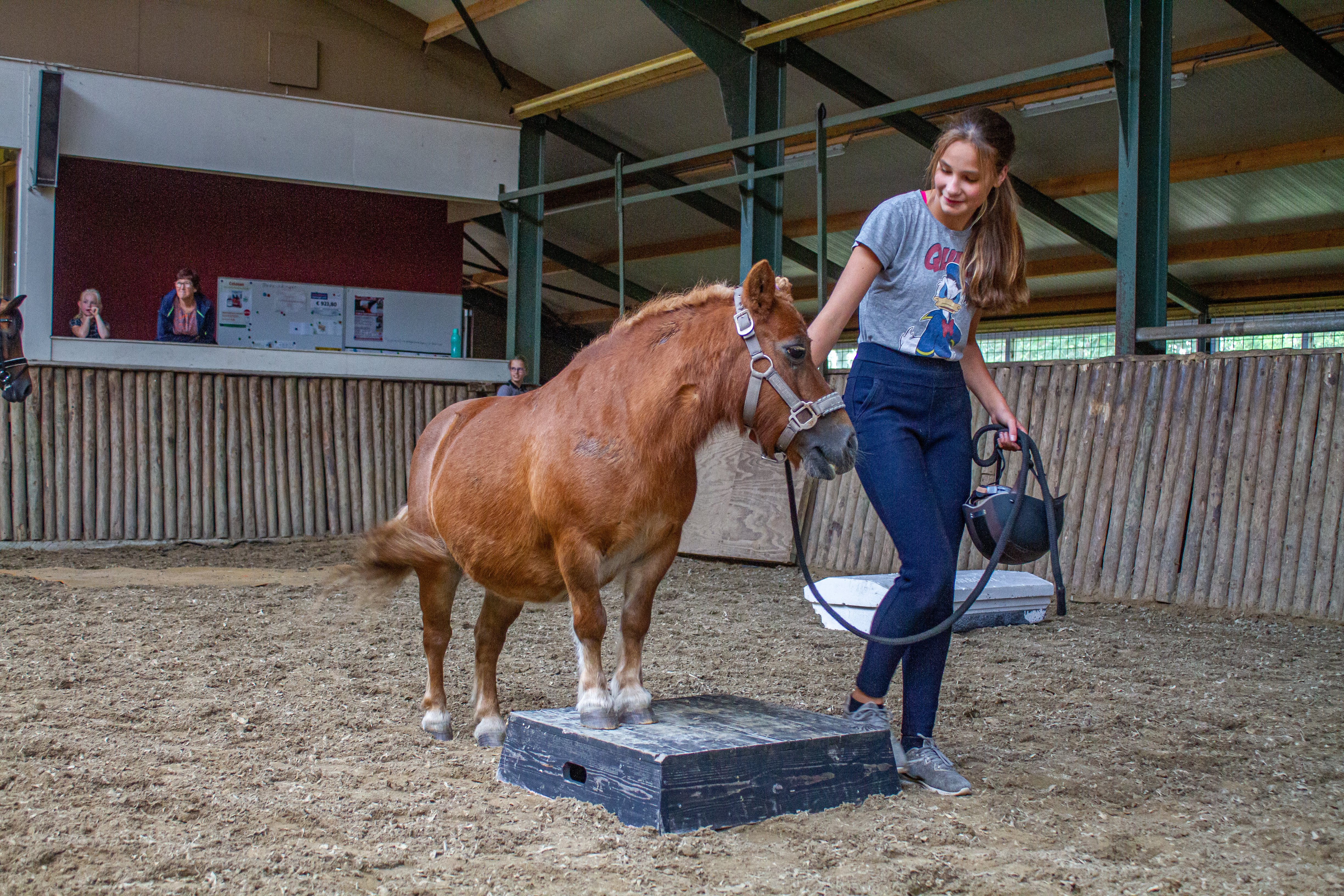 Lol met je knol